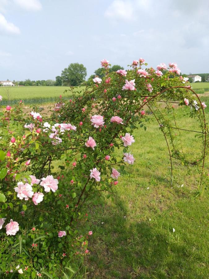 Antico Pioppo Bed & Breakfast Sale Eksteriør bilde
